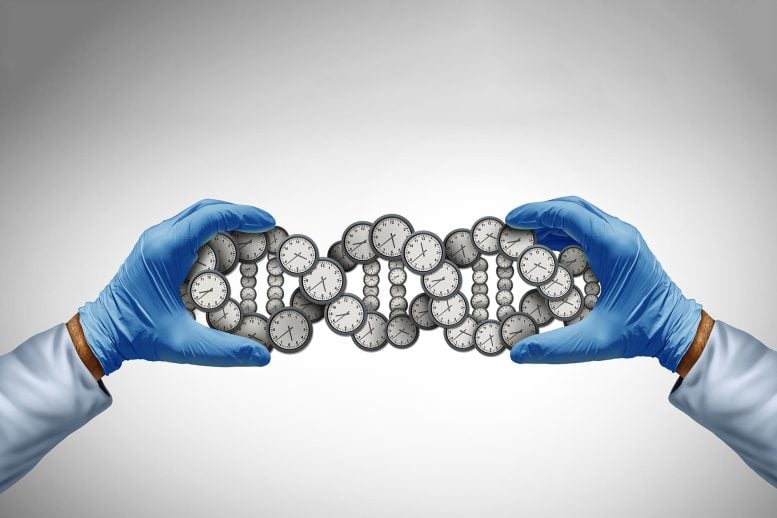 Scientists Uncover a Hidden Switch That Controls Longevity