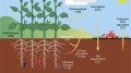 Agricultural Carbon Cycle