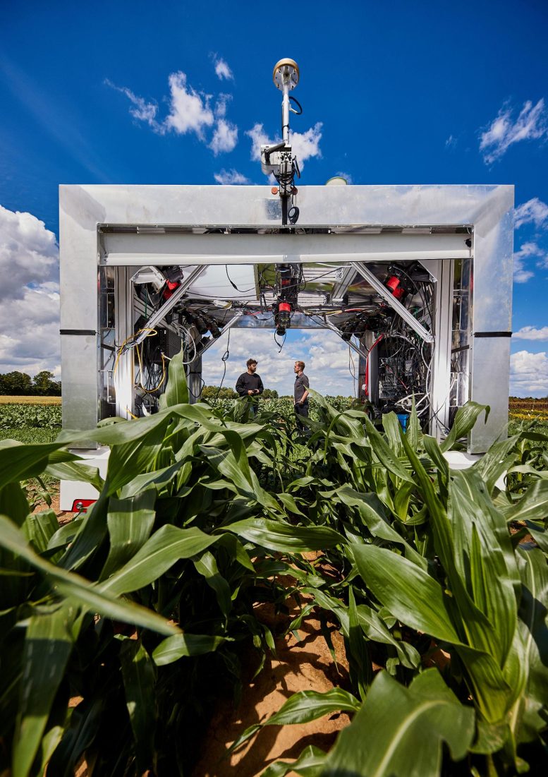 Technology tamfitronics Agricultural Robots