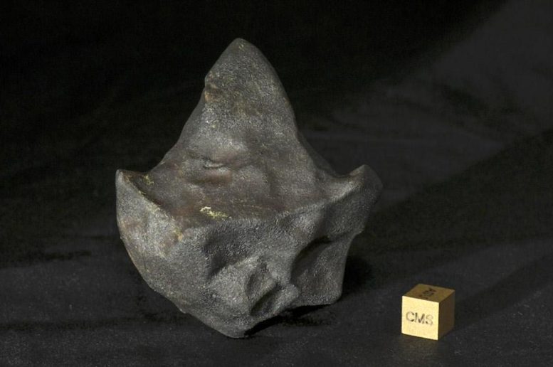 Aguas Zarcas Meteorite