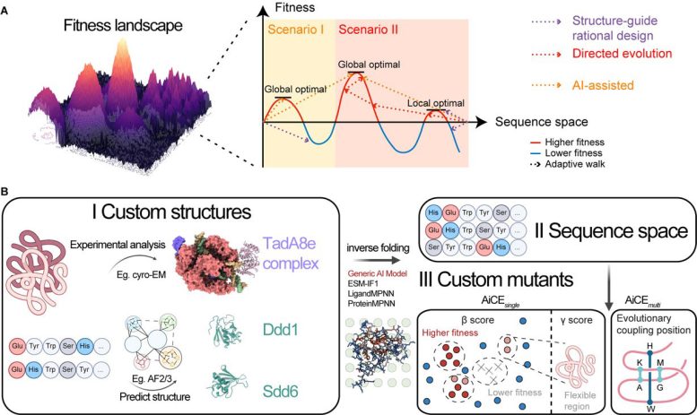 AiCE AI Informed Approach for Protein Engineering