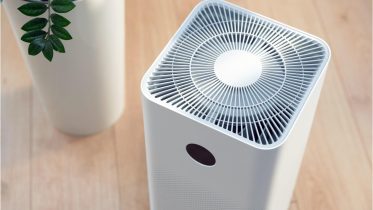 Busting the Myth: Air Cleaners Fail To Prevent Sickness, Study Finds