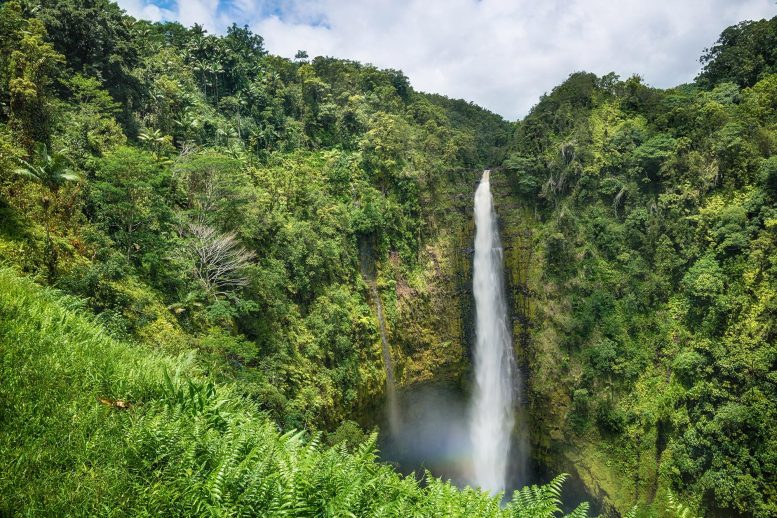 Akaka Falls State Park Waterfall Hawaii