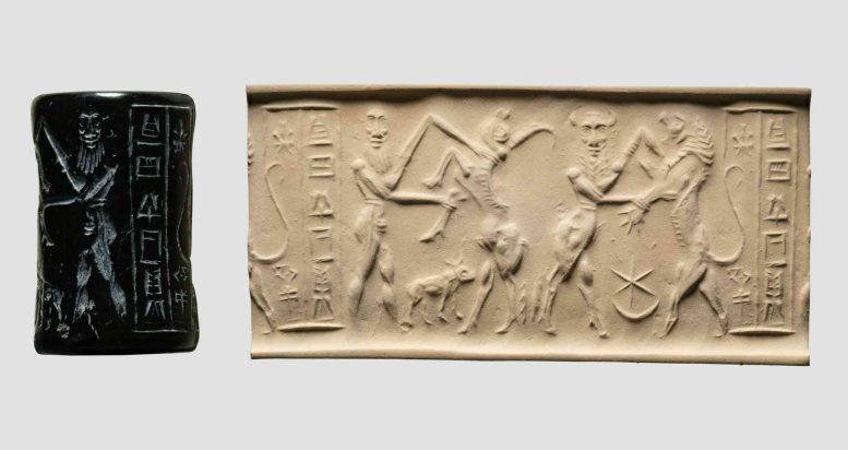 Akkadian Cylinder Seal Depicting a Bull Man Wrestling a Lion and a Hero Wrestling a Water Buffalo