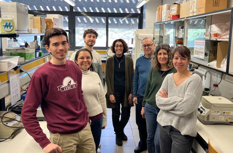 Albert Mestres, Tania Quesada, Albert Blasco, Marta Giralt, Francesc Villarroya, Anna Planavila and Marion Peyrou