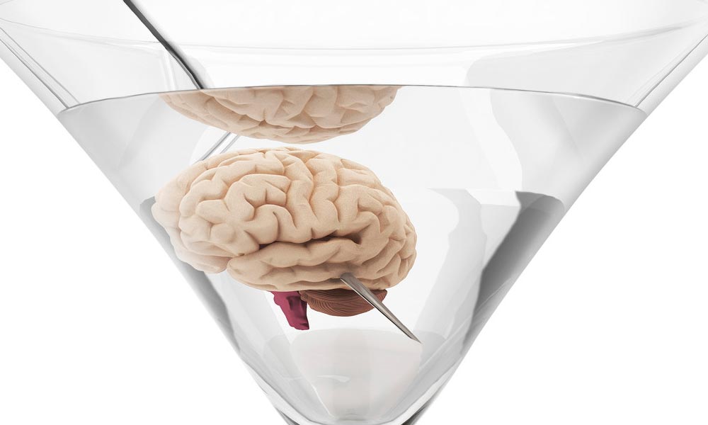 Does Drinking Alcohol Literally Shrink the Brain?