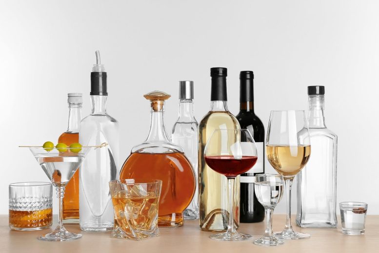Alcohol Spirits Wine