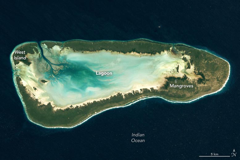 Aldabra Atoll 2022 Annotated