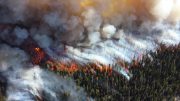 Alder Fire in Yellowstone National Park