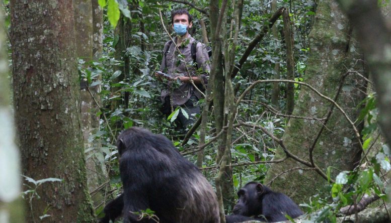 Aleksey Maro at Ngogo in Uganda&rsquo;s Kibale National Park in 2019