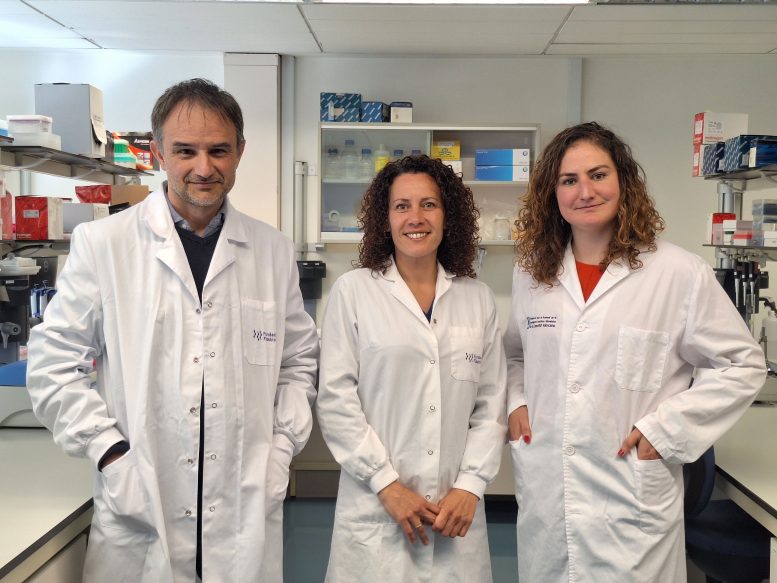 &Aacute;lex Mira, Mar&iacute;a D. Ferrer and Paula Corell