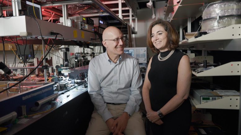 Alexander Gaeta and Michal Lipson