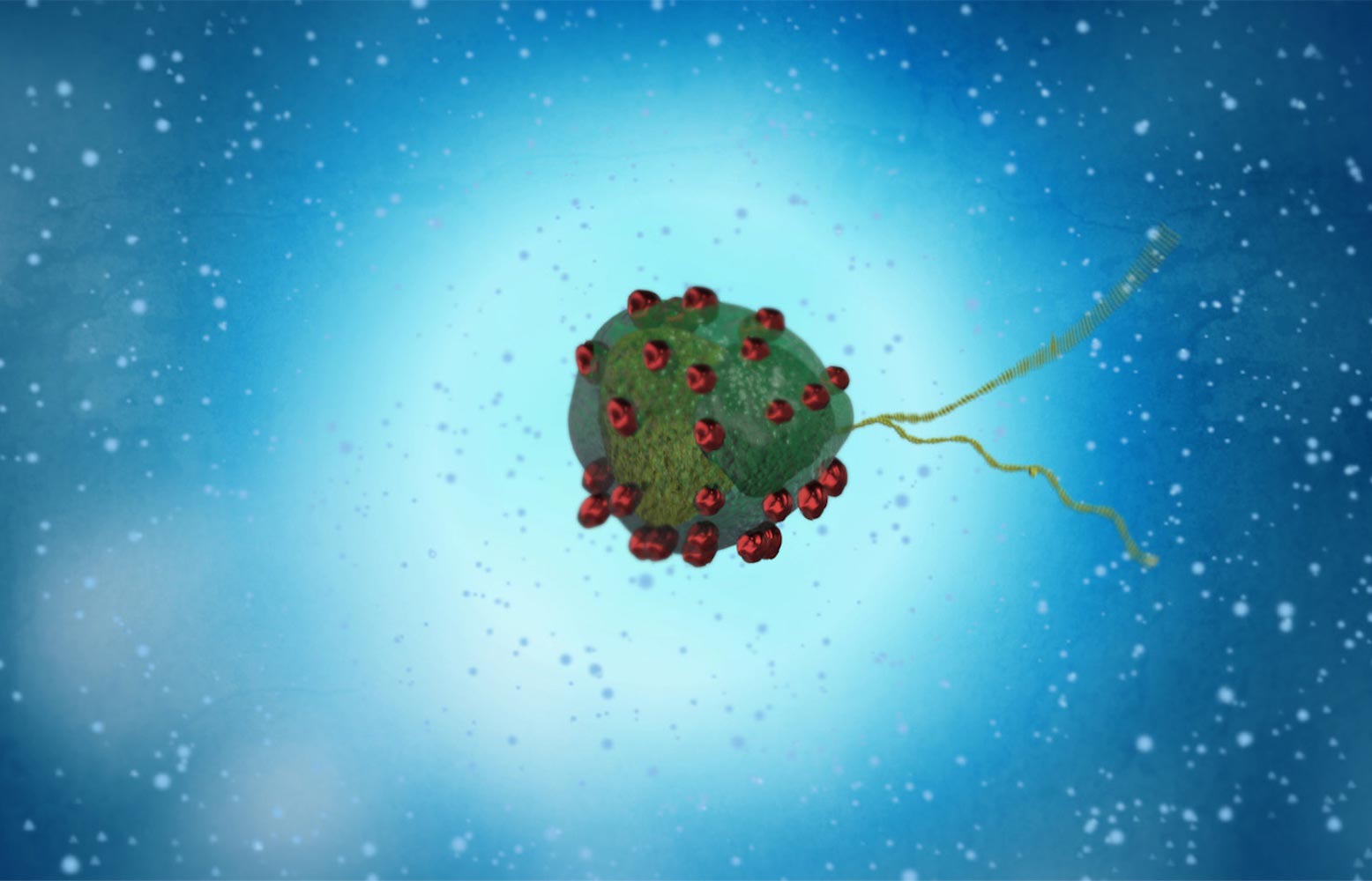 Scientists Create Microscopic Algae Robots With Incredible Swimming ...