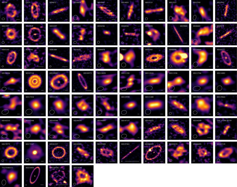 All 74 Exocomet Belts
