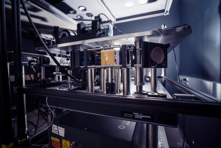 Allen Institute Microscopes Record Signals From Living Brain