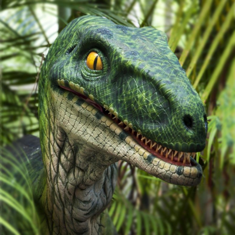Allosaurus Dinosaur Illustration