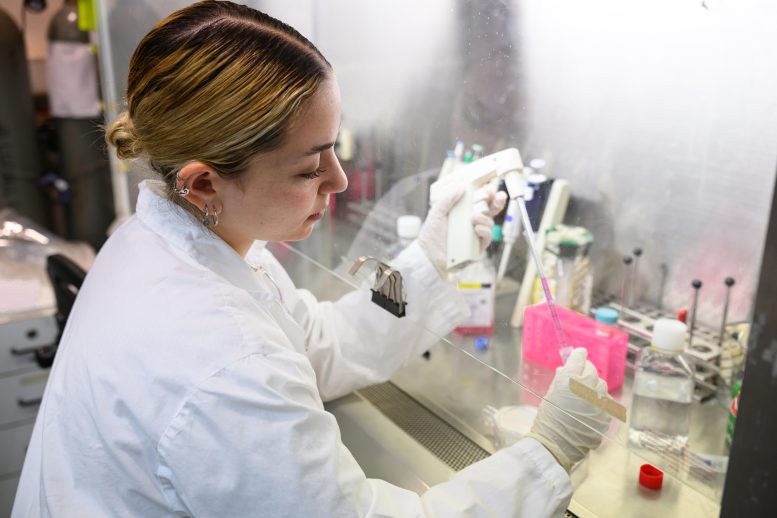 Alon Monsonego's Lab