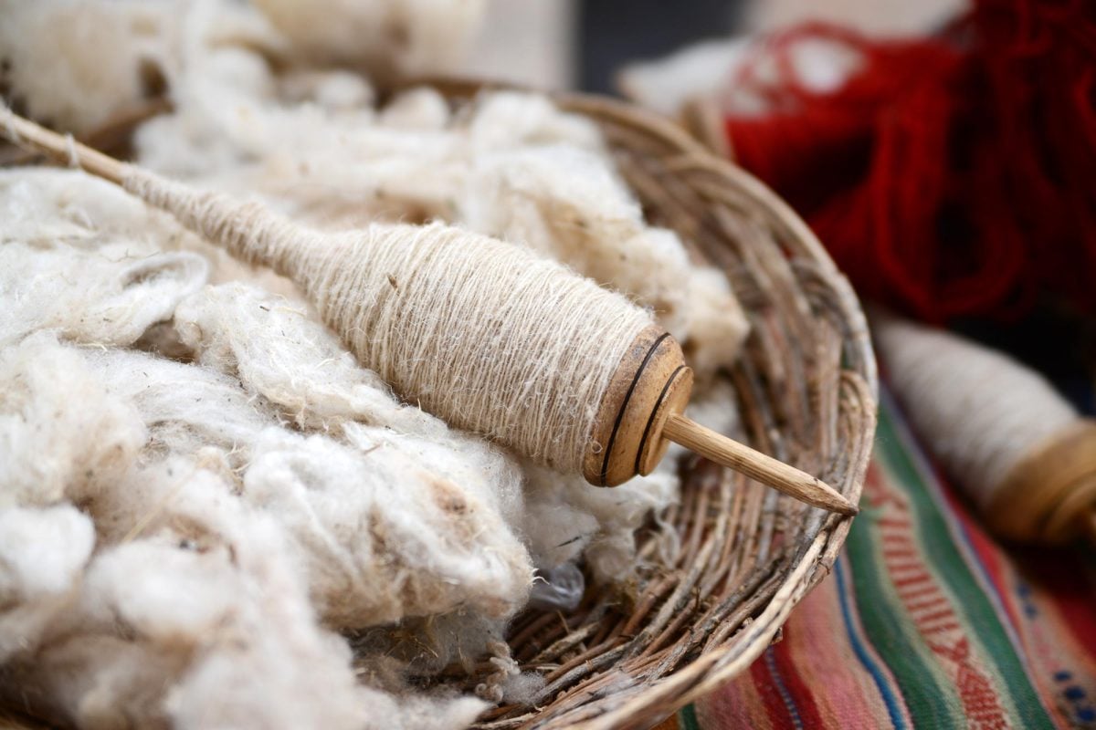Scientists Turn Wool Into Bone-Healing Material in Medical Breakthrough