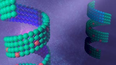 Nature’s Tiny Architects: Designing Molecular Shapes for Medical Miracles