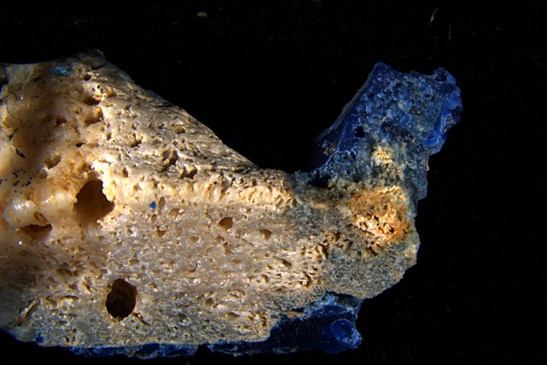 Alternate View of Plasticoral From Sosu Beach