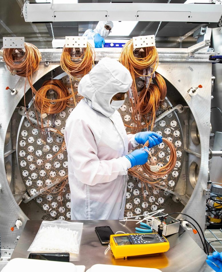 Alvine Kamaha Working LZ Detector