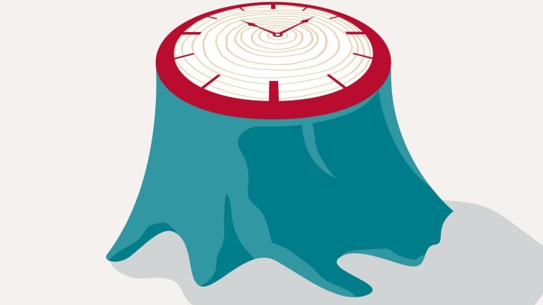 Alzheimer's Disease Clock