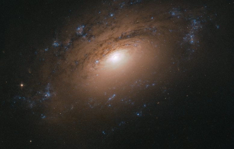Amazing Hubble Image of NGC 3169