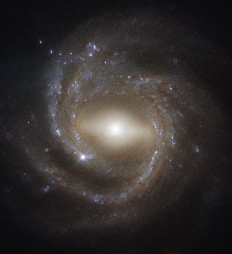 Amazing Image of NGC 7773