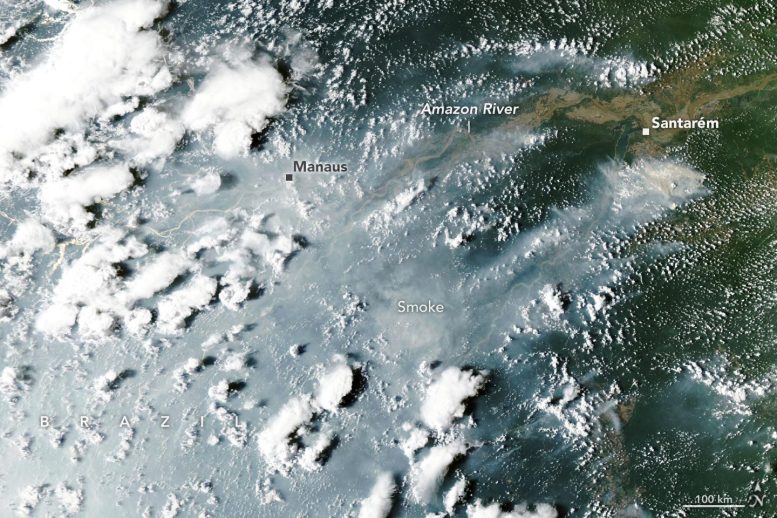Amazon Rainforest Fires 2026 Annotated