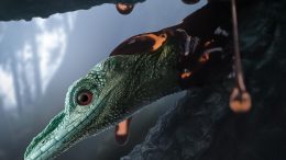 Amber Fossil Preserves Bizarre Lizard
