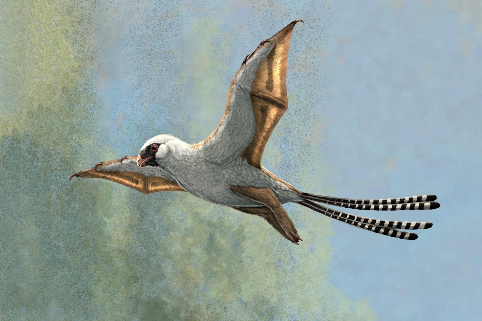 These Two Bird Sized Dinosaurs Evolved Bat Like Wings But Struggled To Fly
