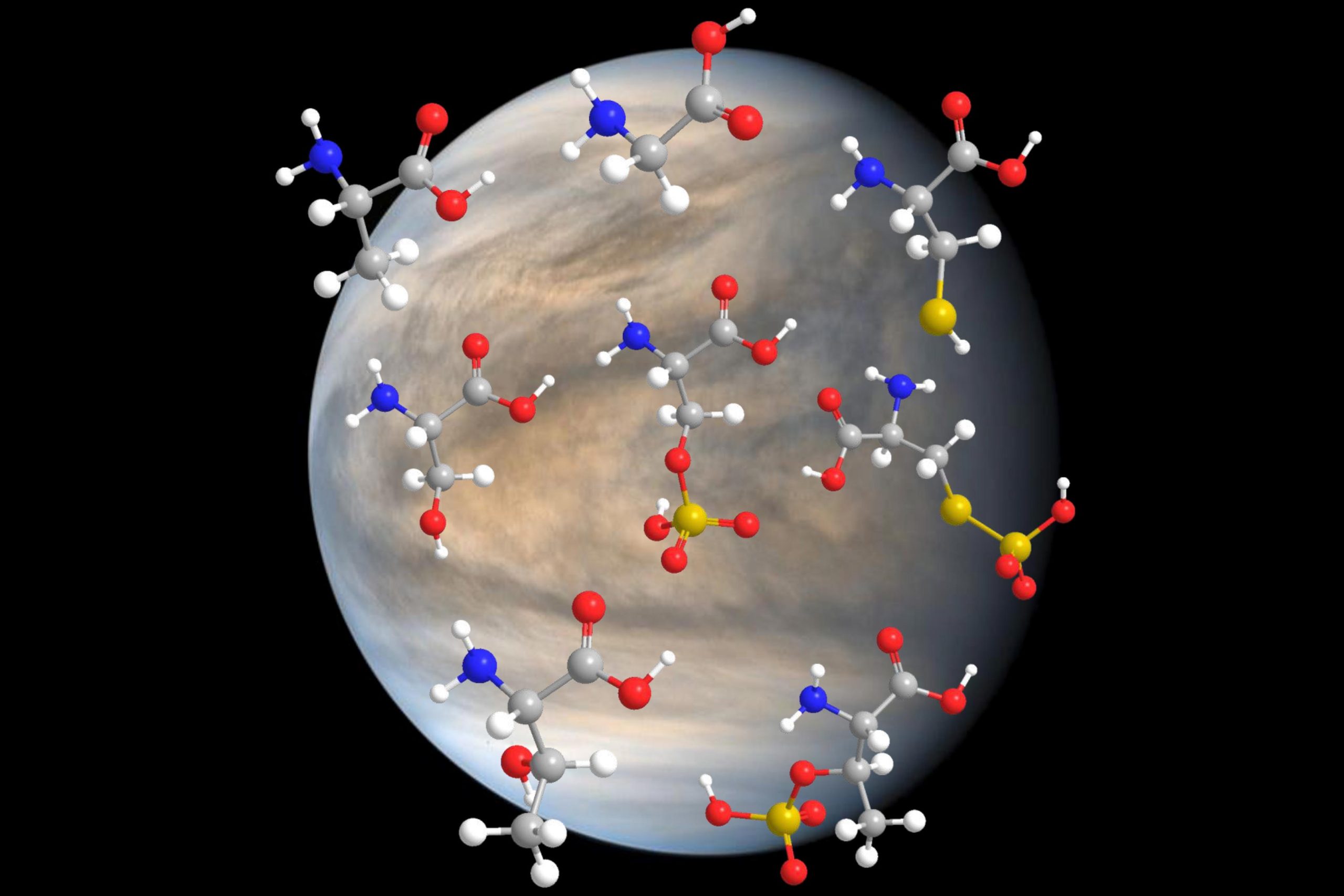 Kehidupan di Venus?  Penemuan stabilitas asam amino yang 'sangat mengejutkan' dari MIT