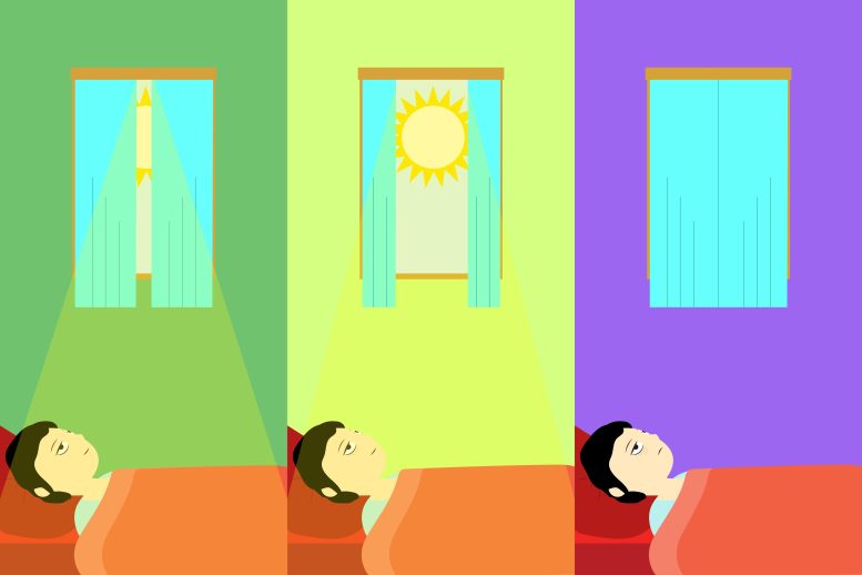Amount of Natural Light Affects Wakefulness Graphic