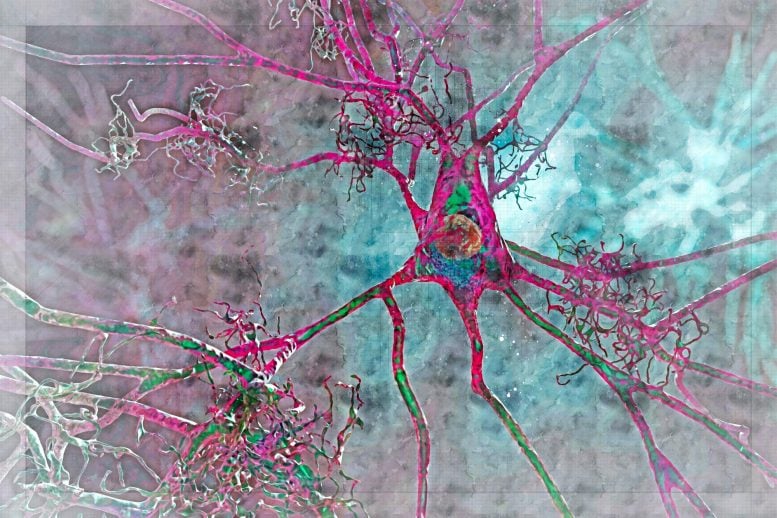 Brain Blood Flow May Predict Alzheimer’s Risk Before Memory Loss