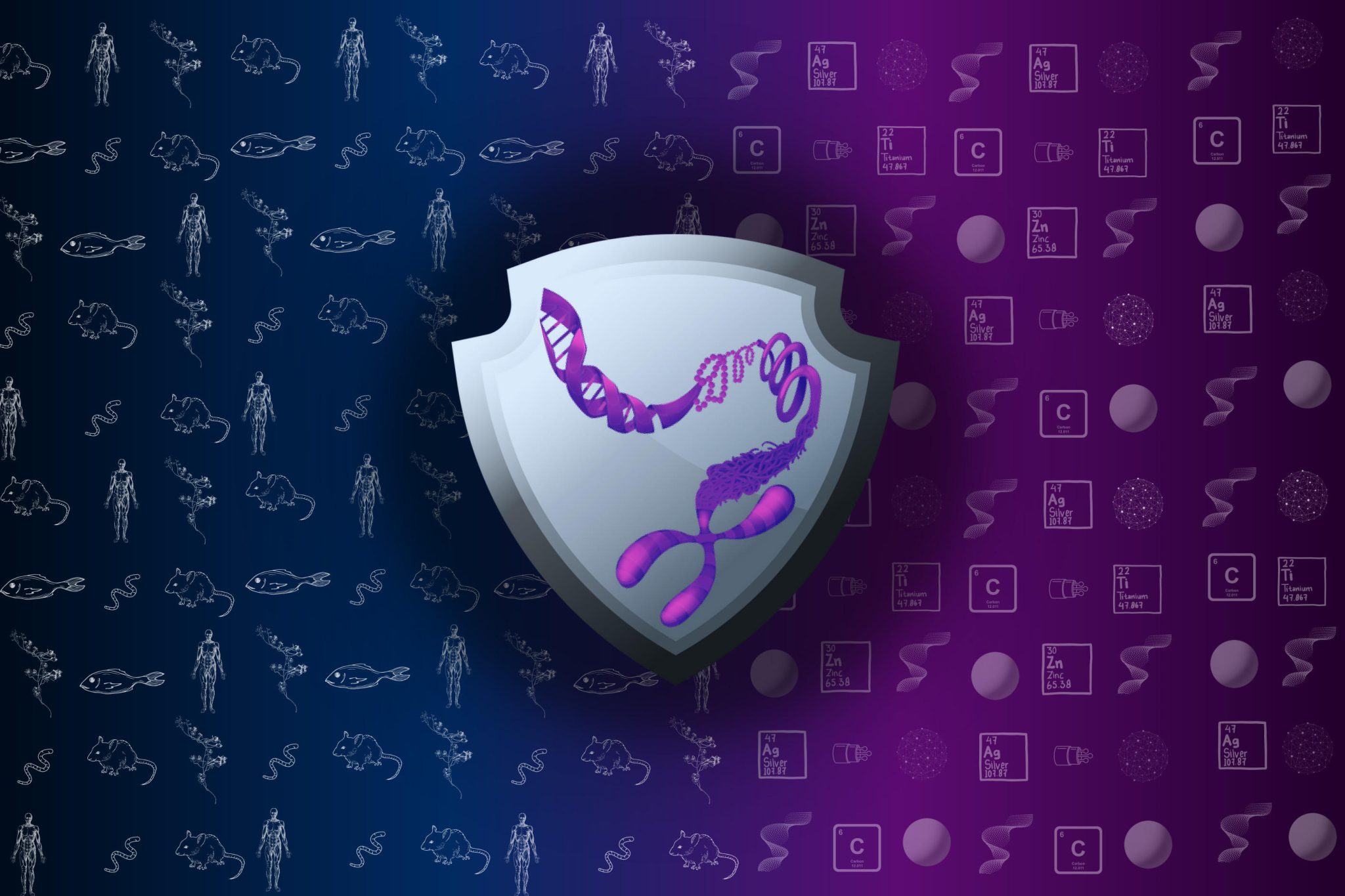 An Ancestral Molecular Response