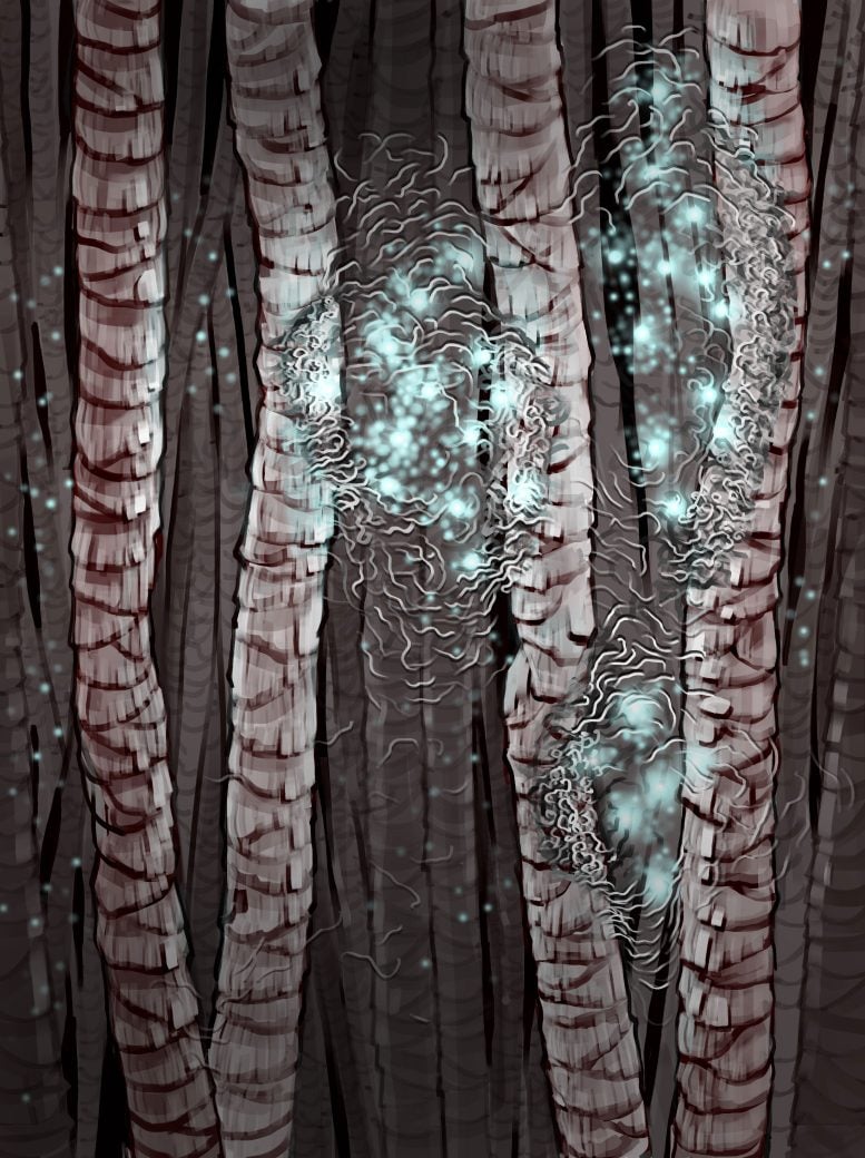 An Artist’s Depiction of Keratin Hair
