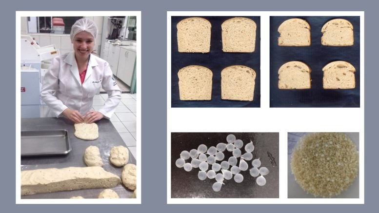 Ana Paula Carvalho Bread Dough