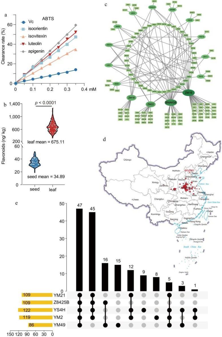 Analysis and Products of Flavonoids in Wheat Accessions