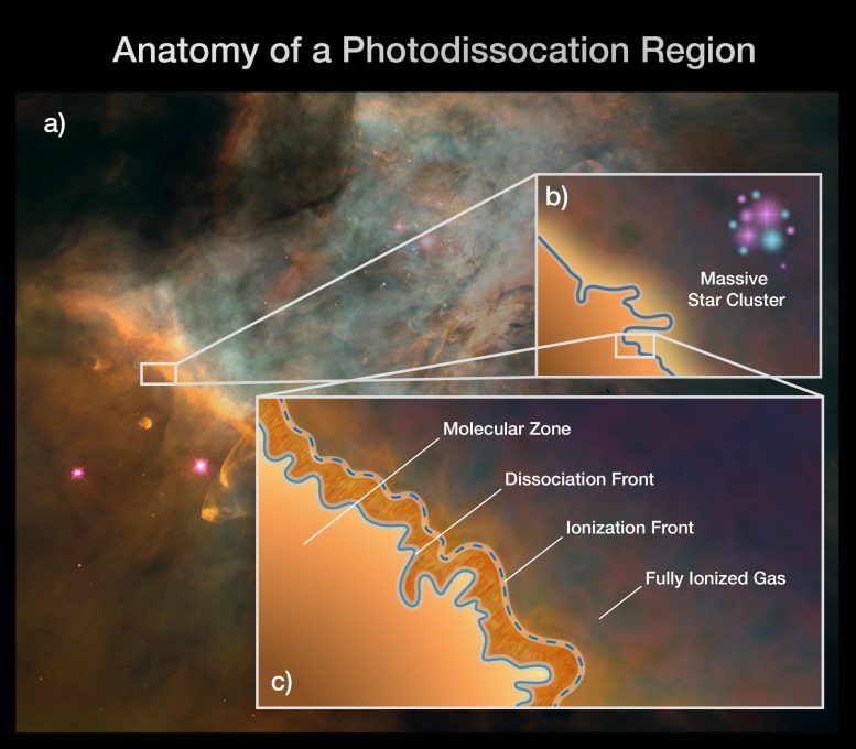 Anatomy of a Photodissociation Region