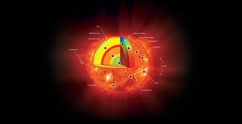 Anatomy of Our Sun SOHO