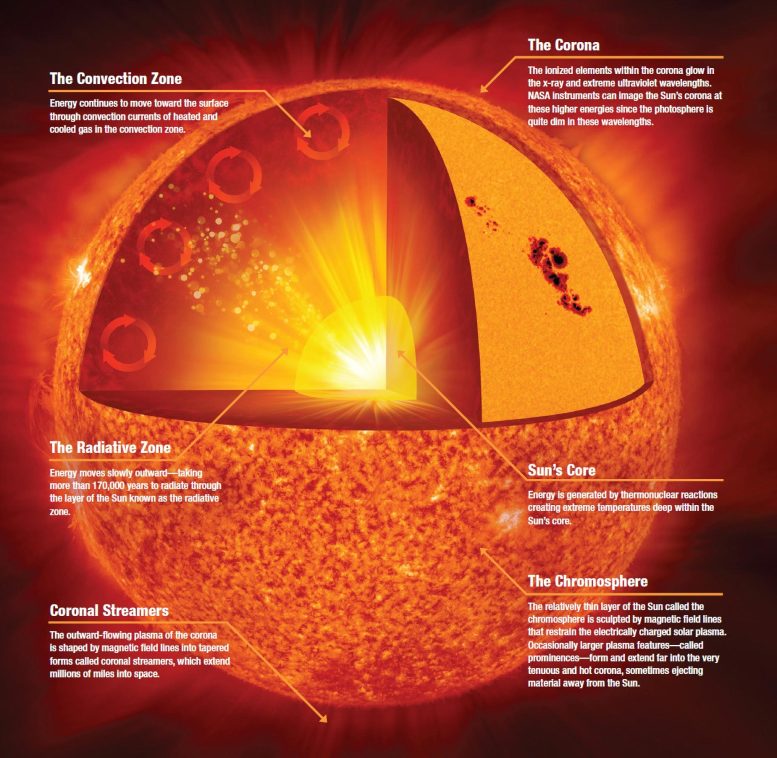 Anatomy of the Sun Infographic