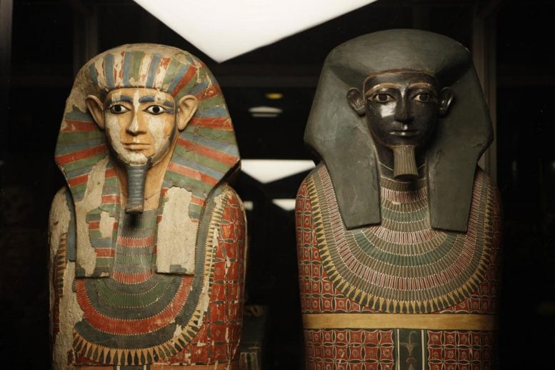 Ancient DNA Solves 4,000 Year Old Egyptian Mummy Mystery