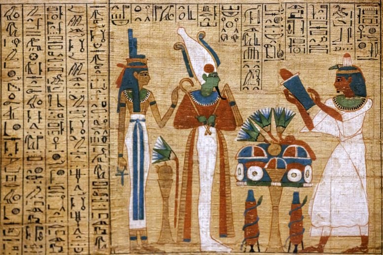 Ancient Egyptian Hieroglyphs Papyrus