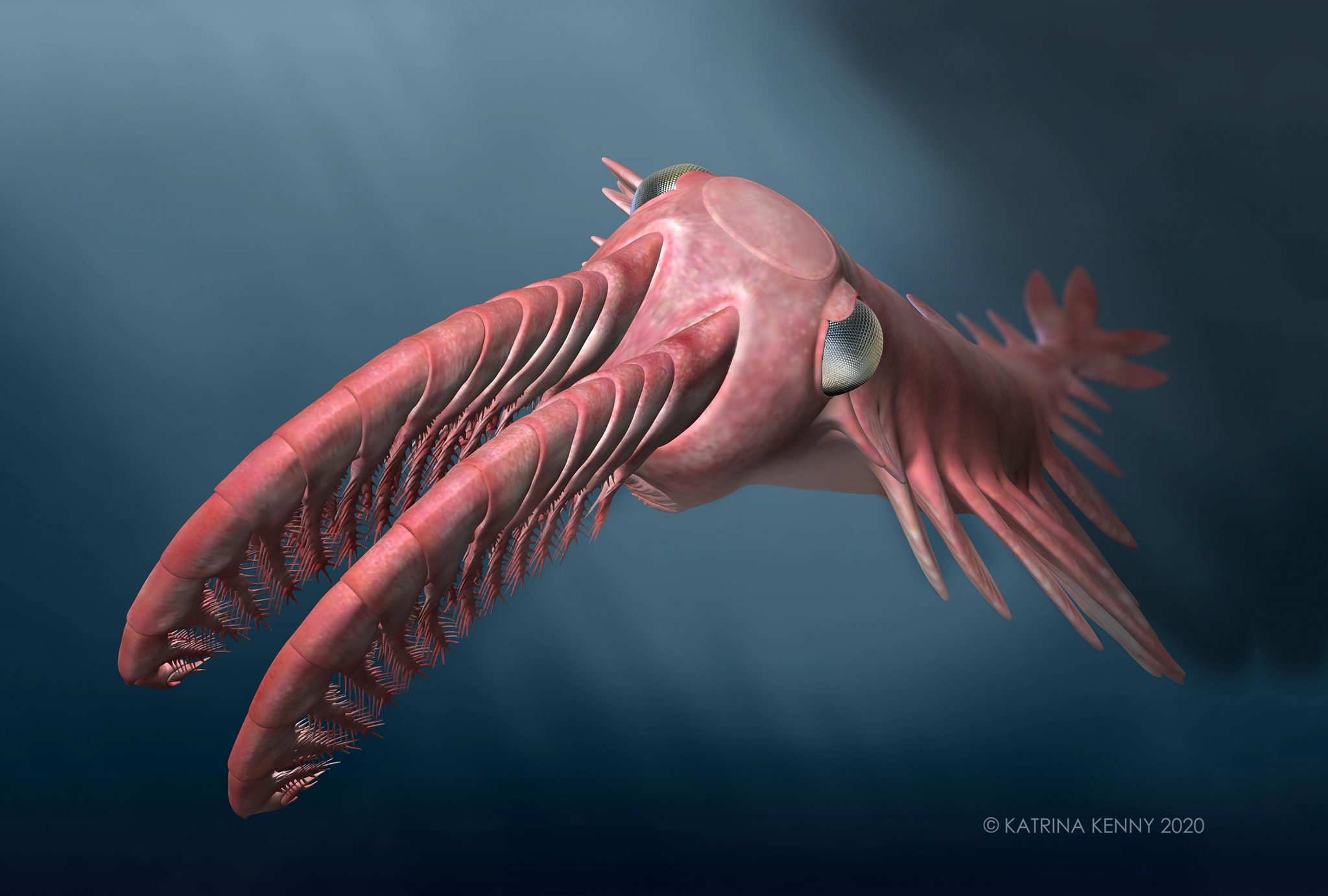 Incredible Vision In Ancient Radiating Teeth Deep Sea Creatures Drove Incredible Vision In Ancient Radiating Teeth Deep Sea Creatures Drove
