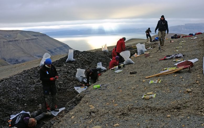 Ancient Marine Fossil Bonebed Site on Svalbard
