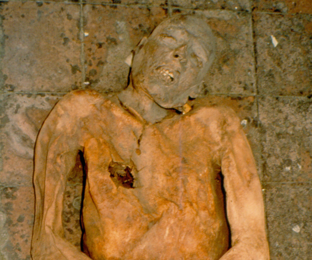Ancient Mummy Genome