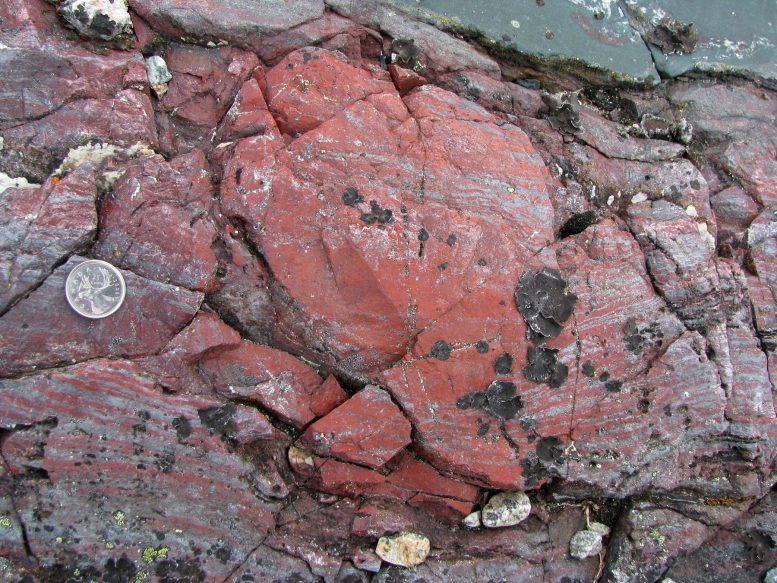 Une roche ancienne contenant des microfossiles
