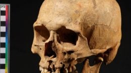 Ancient Siberian Skull