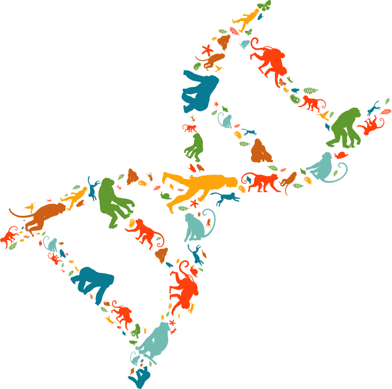 Ancient Viral DNA Embedded in Our Genome