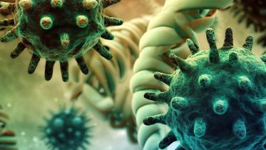DNA Decoys Outsmart Viruses in Groundbreaking Vaccine Approach
